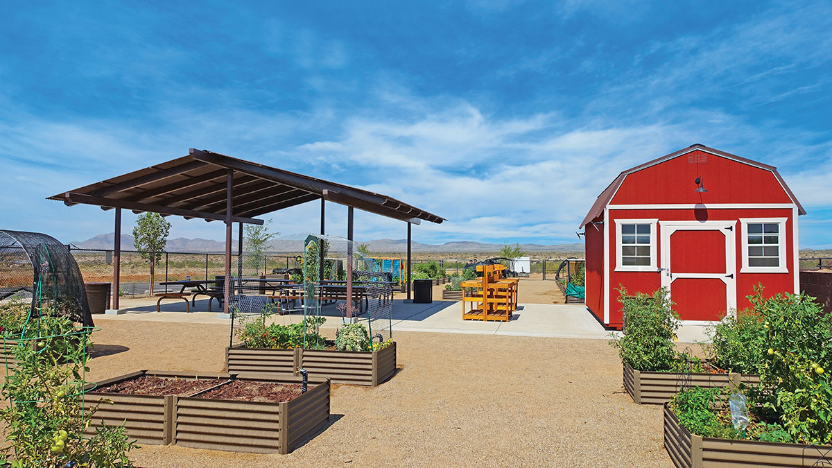 Community Garden at SaddleBrooke Ranch, a 55+ Community in Arizona