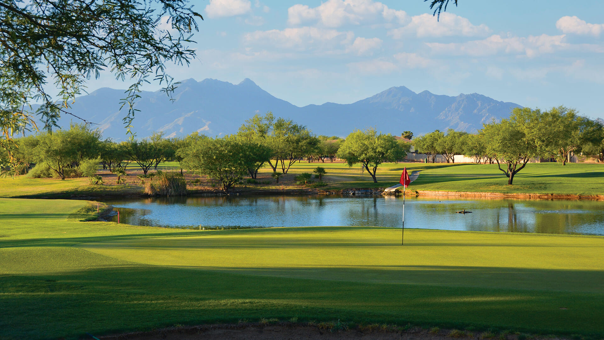 Golf at Quail Creek, a Master Planned community in Arizona