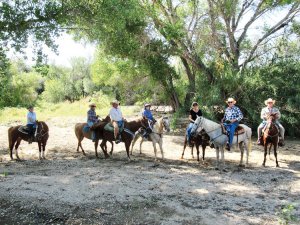 SaddleBrooke Ranch, active 55+ living community Horseback Riding Group